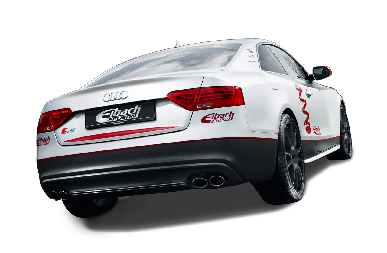 Eibach_Audi_S5_rear